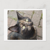 Carmen Postkarte (Vorderseite)