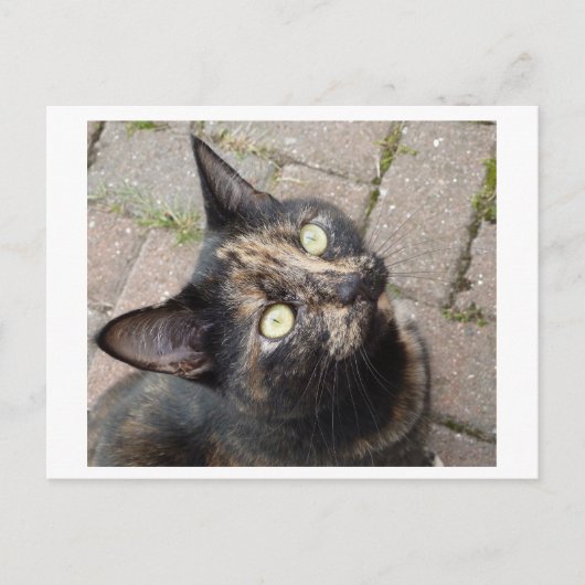 Carmen Postkarte (Vorderseite)