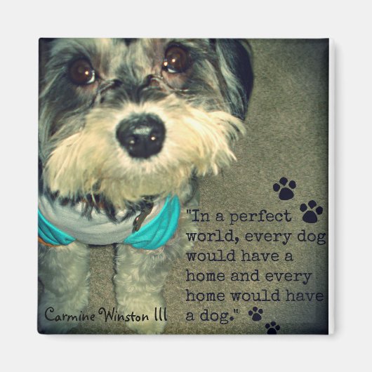 Carmine Winston III- "In a Perfect World.." Magnet (Vorne)