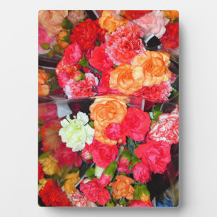 Carnation Blume Mix Foto Plaque Fotoplatte