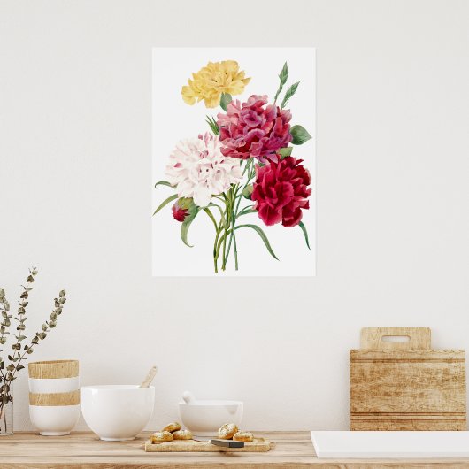 Carnation Blume Print von Pierre-Joseph Redouté Poster (Küche)