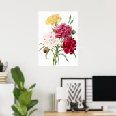 Carnation Blume Print von Pierre-Joseph Redouté Poster (Heimbüro)