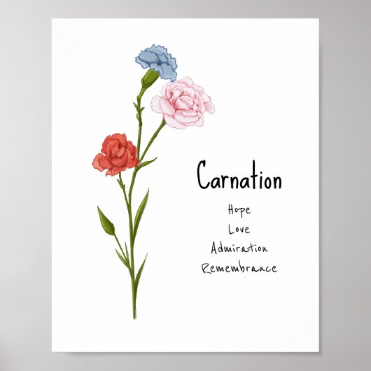Carnation January Birth Blume Wasserfarbe Kunst Poster (Vorne)