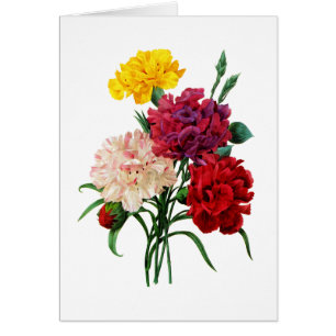 Carnation und Marigold Bouquet von Redoute