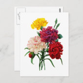 Carnation und Marigold Bouquet von Redoute Postkarte (Vorne/Hinten)