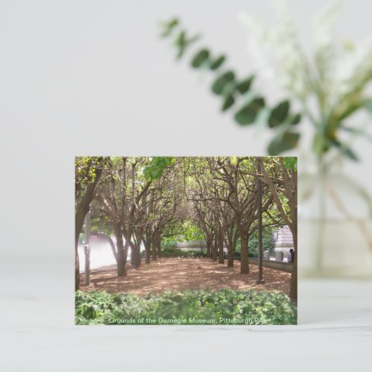 Carnegie Museum Postkarte (Stehend Vorderseite)