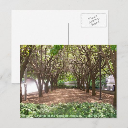 Carnegie Museum Postkarte (Vorne/Hinten)