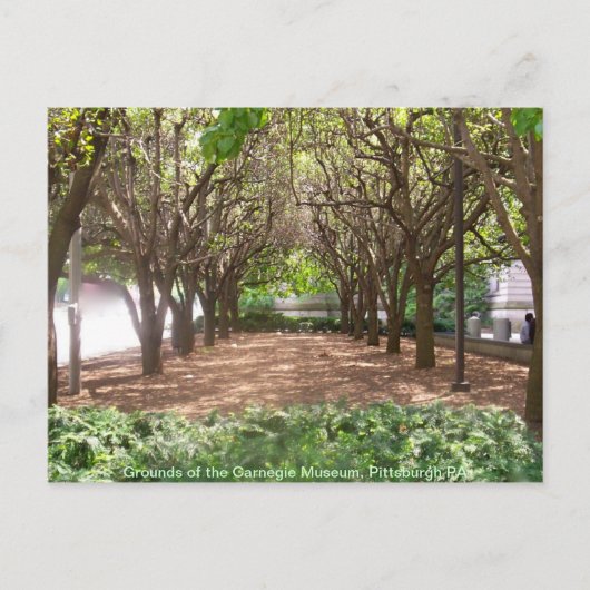 Carnegie Museum Postkarte (Vorderseite)
