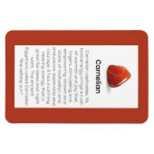 Carnelian Crystal Meaning Juwelier Magnet Sign (Horizontal)