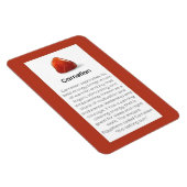 Carnelian Crystal Meaning Juwelier Magnet Sign (Rechte Seite)