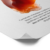 Carnelian Crystal Meaning Poster (Ecke)