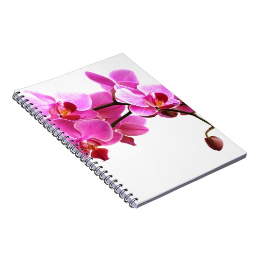 Carnet Orchidée Notizblock (Rechte Seite)