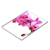 Carnet Orchidée Notizblock (Linke Seite)