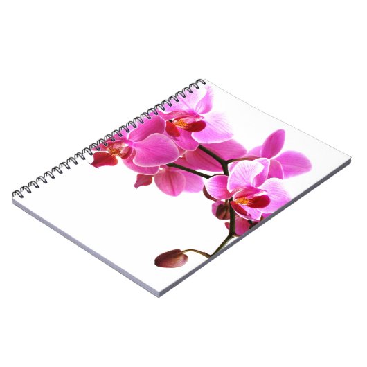 Carnet Orchidée Notizblock (Linke Seite)