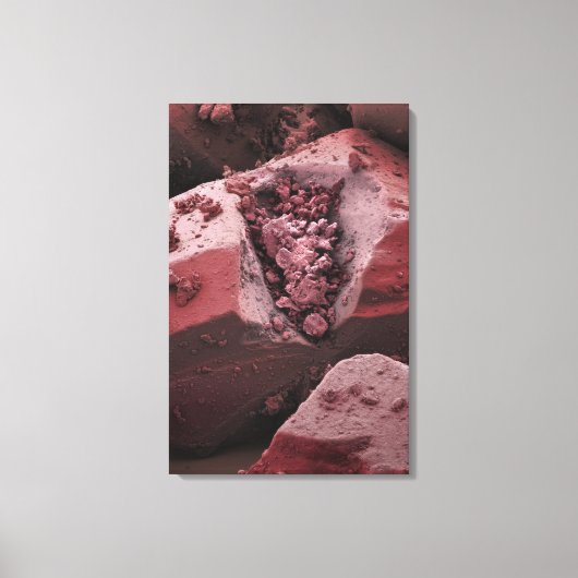 Carnitin Leinwanddruck (Vorderseite)