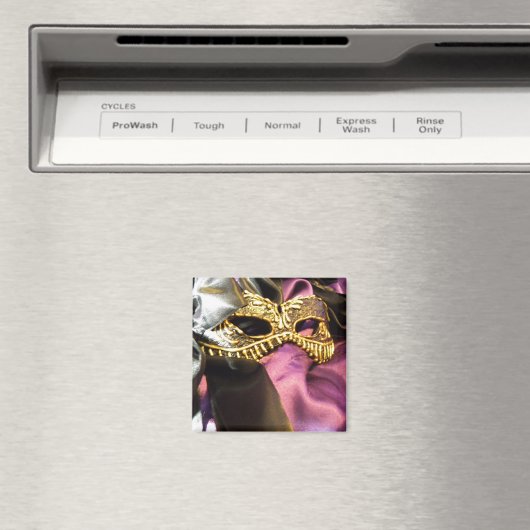 Carnival Black Magnet (In Situ (Geschirrspüler))