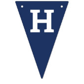 Carnival Circus Baby Birthday Kids House Party Wimpelkette (Zweite Fahne)