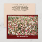 Carnival Rio de Janeiro, Brasilien Postkarte (Vorne/Hinten)