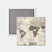 Carnivora Magnet (Vorderseite/Rückseite)