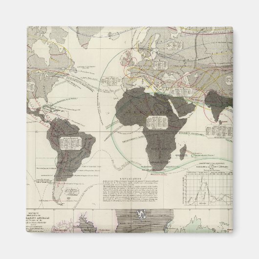 Carnivora Magnet (Vorne)