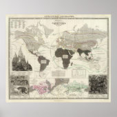 Carnivora Poster (Vorne)