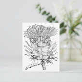 Caro das Kardoon Postkarte (Stehend Vorderseite)