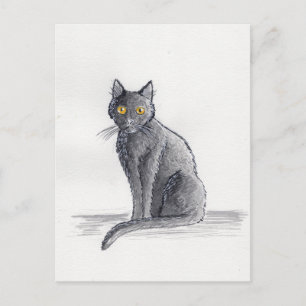 Carol Zeichne - Postkarte