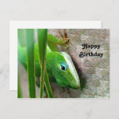 Carolina Anole Green Lizard Foto Geburtstag Postkarte (Vorne/Hinten)