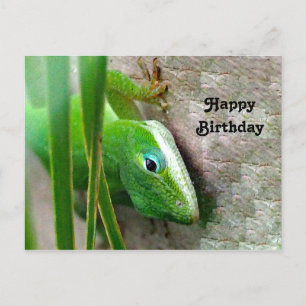 Carolina Anole Grüne Eidechse Foto Geburtstag Postkarte
