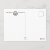 Carolina Bittern Post Card Postkreuzung Postkarte (Rückseite)