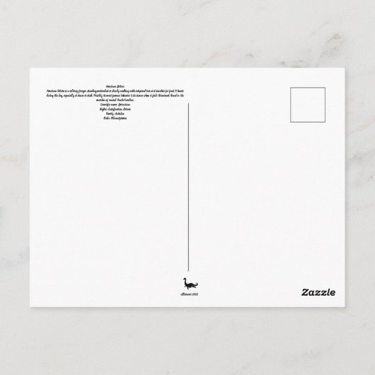 Carolina Bittern Post Card Postkreuzung Postkarte (Rückseite)