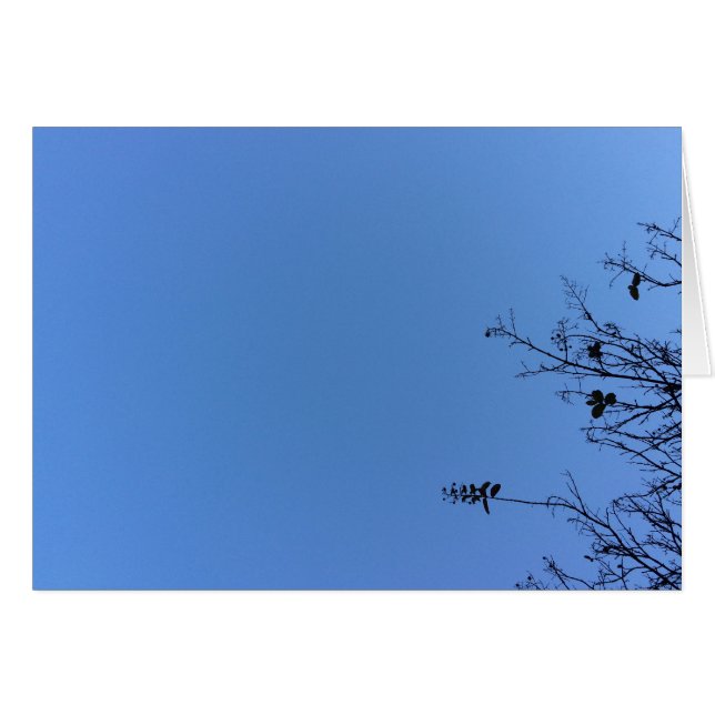 Carolina Blue, Karte (Vorderseite (Horizontal))