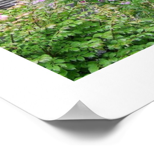 Carolina Cabin Poster (Ecke)