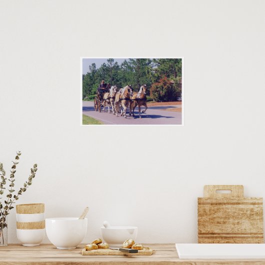 CAROLINA CARRIAGE POSTER (Küche)