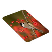 Carolina Chickadee auf dem Waldbrunnen Magnet (Rechte Seite)