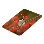 Carolina Chickadee auf dem Waldbrunnen Magnet (Linke Seite)