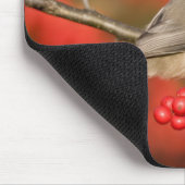 Carolina Chickadee auf dem Waldbrunnen Mousepad (Ecke)