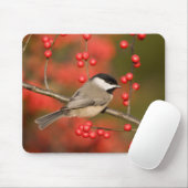 Carolina Chickadee auf dem Waldbrunnen Mousepad (Mit Mouse)