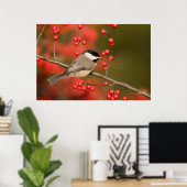 Carolina Chickadee auf dem Waldbrunnen Poster (Heimbüro)