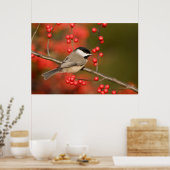 Carolina Chickadee auf dem Waldbrunnen Poster (Küche)