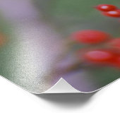 Carolina Chickadee Fotodruck (Ecke)