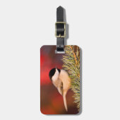 Carolina Chickadee in Blue Atlas Cedar Gepäckanhänger (Vorderseite vertikal)