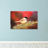 Carolina Chickadee in Blue Atlas Cedar Leinwanddruck (Insitu (Holzboden))