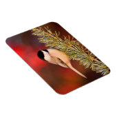 Carolina Chickadee in Blue Atlas Cedar Magnet (Rechte Seite)