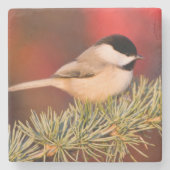 Carolina Chickadee in Blue Atlas Cedar Steinuntersetzer (Vorderseite)