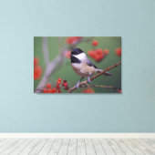 Carolina Chickadee Leinwanddruck (Insitu (Holzboden))