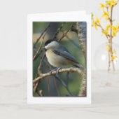 Carolina Chickadee Note Card Karte (Gelbe Blume)