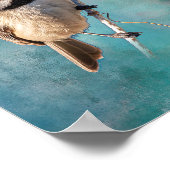 Carolina Chickadee Poster (Ecke)