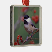 Carolina Chickadee Silbernes Ornament (Rechts)