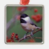 Carolina Chickadee Silbernes Ornament (Vorne)
